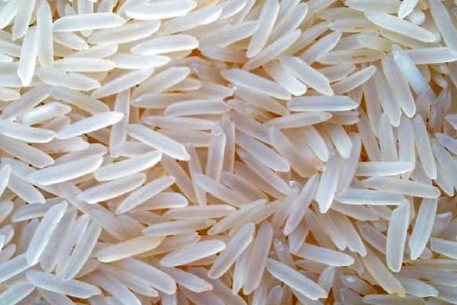 1121 Basmati Rice