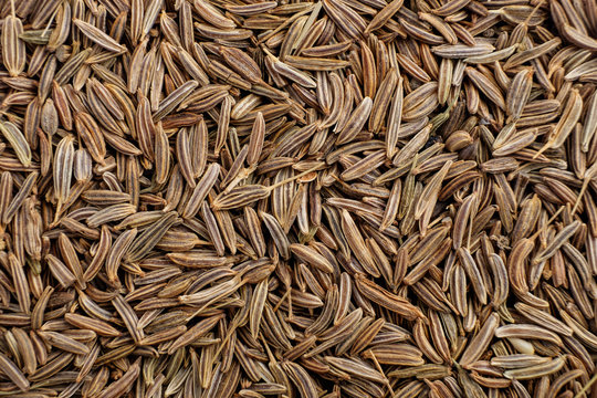 Cumin (Raw/Powder)