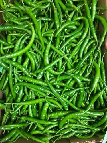 Green Chilli